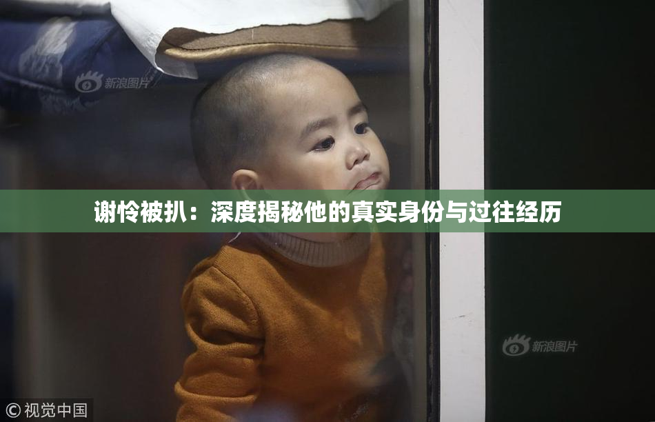 谢怜被扒：深度揭秘他的真实身份与过往经历