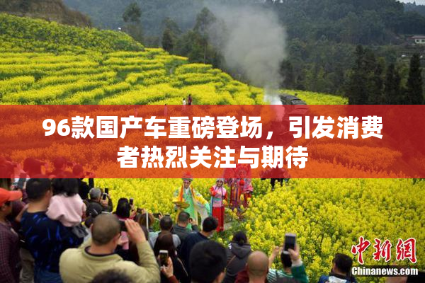 96款国产车重磅登场，引发消费者热烈关注与期待
