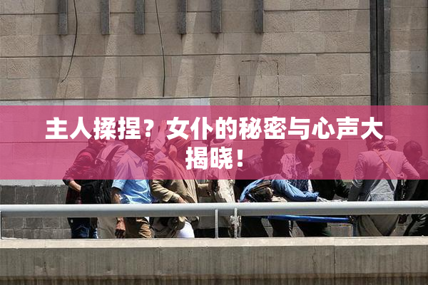 主人揉捏？女仆的秘密与心声大揭晓！