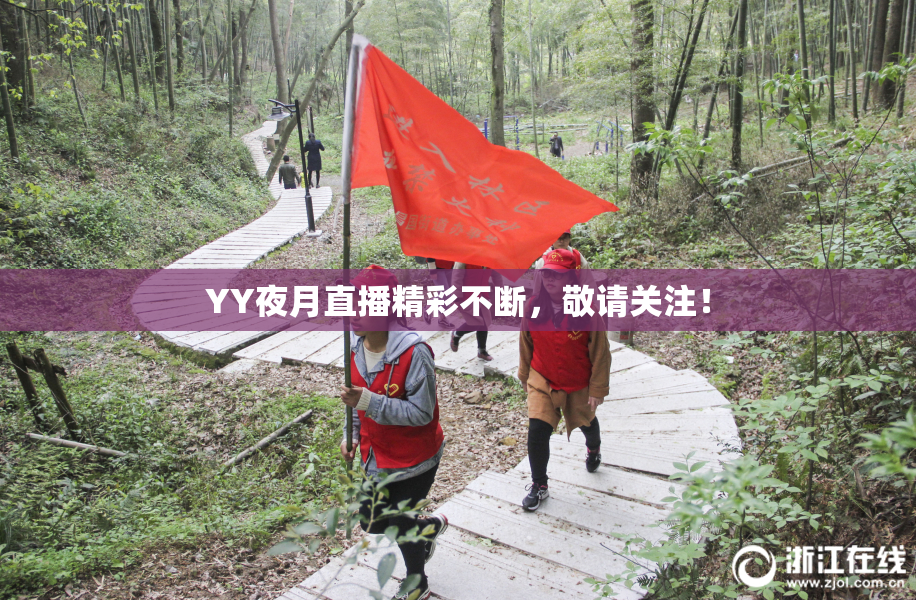 YY夜月直播精彩不断，敬请关注！