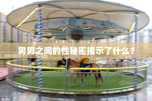 男男之间的性秘密揭示了什么？