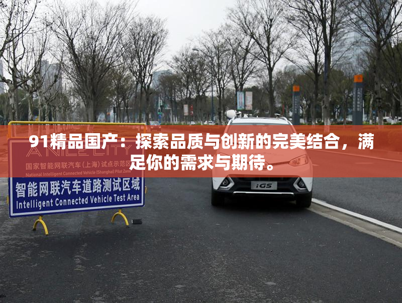 91精品国产：探索品质与创新的完美结合，满足你的需求与期待。