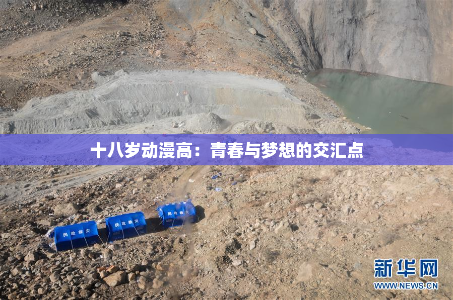 十八岁动漫高：青春与梦想的交汇点