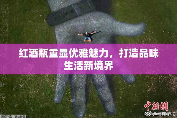 红酒瓶重显优雅魅力，打造品味生活新境界