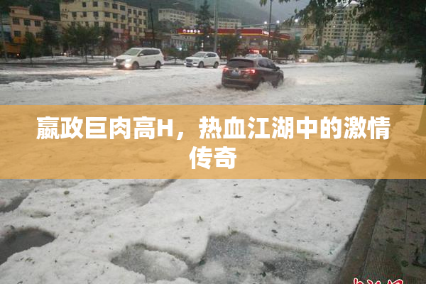 嬴政巨肉高H，热血江湖中的激情传奇