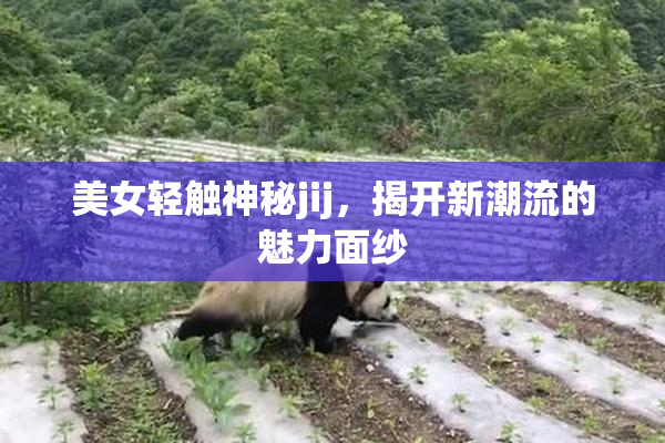 美女轻触神秘jij，揭开新潮流的魅力面纱