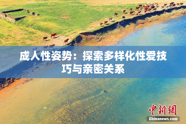 成人性姿势：探索多样化性爱技巧与亲密关系