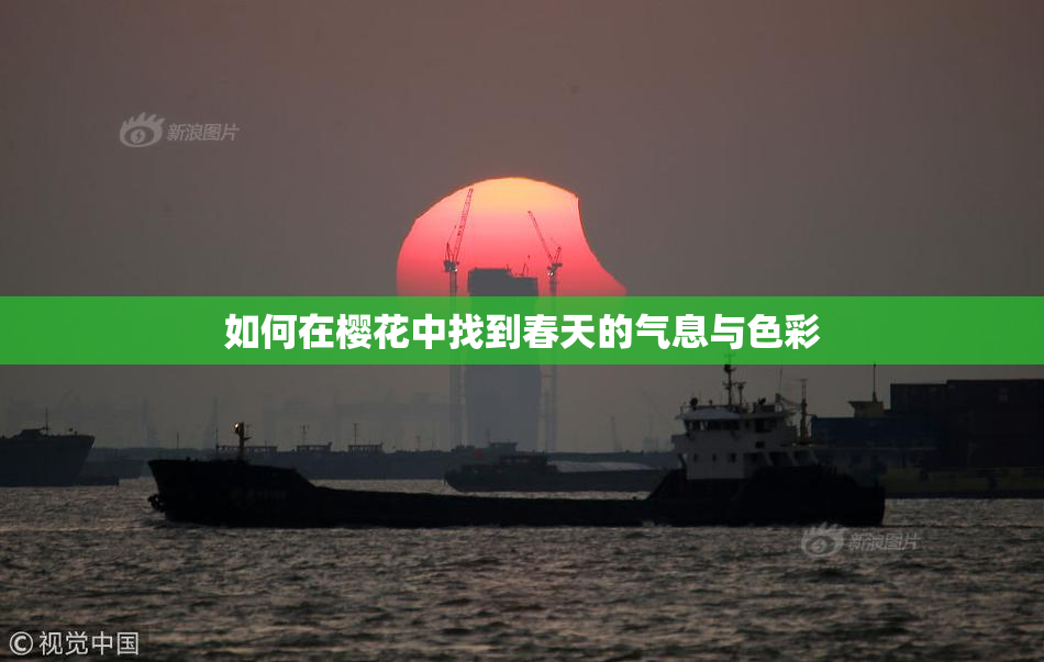 如何在樱花中找到春天的气息与色彩
