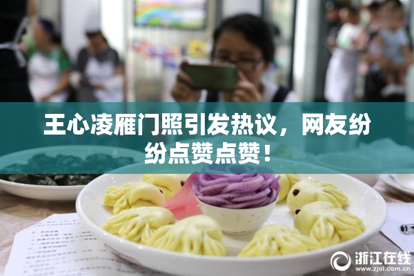 王心凌雁门照引发热议，网友纷纷点赞点赞！