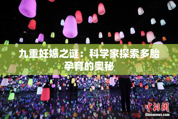 九重妊娠之谜：科学家探索多胎孕育的奥秘
