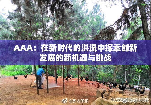 AAA：在新时代的洪流中探索创新发展的新机遇与挑战
