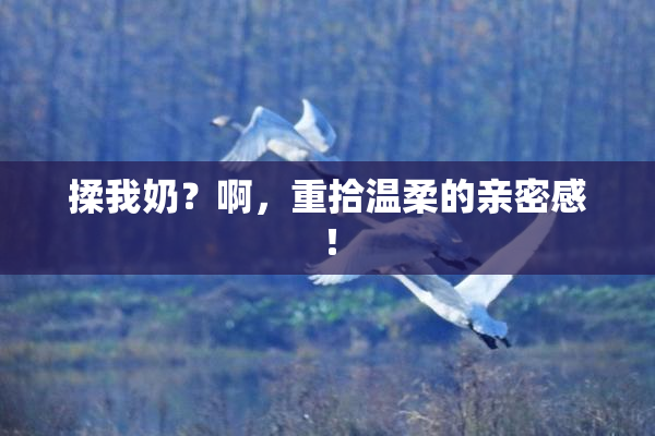 揉我奶？啊，重拾温柔的亲密感！
