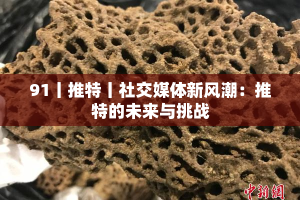 91丨推特丨社交媒体新风潮：推特的未来与挑战