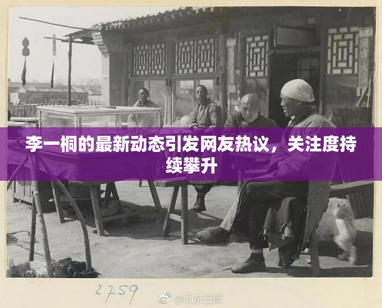 李一桐的最新动态引发网友热议，关注度持续攀升