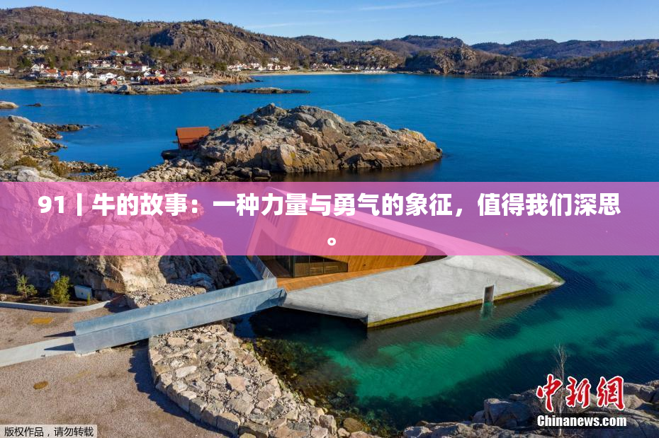 91丨牛的故事：一种力量与勇气的象征，值得我们深思。