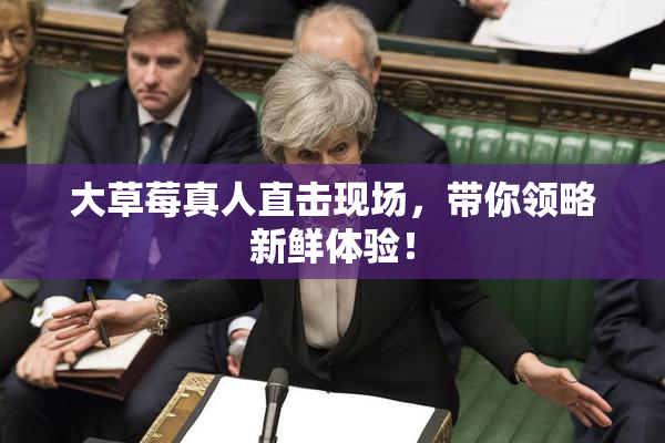 大草莓真人直击现场，带你领略新鲜体验！