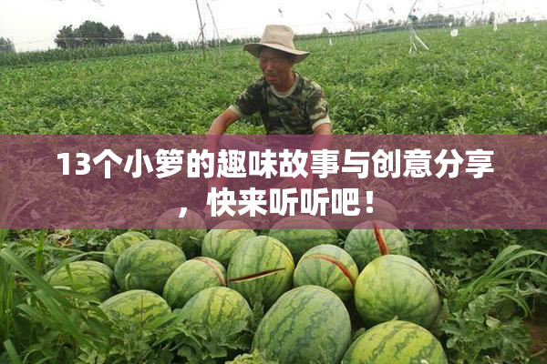 13个小箩的趣味故事与创意分享，快来听听吧！