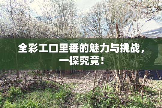 全彩工口里番的魅力与挑战，一探究竟！
