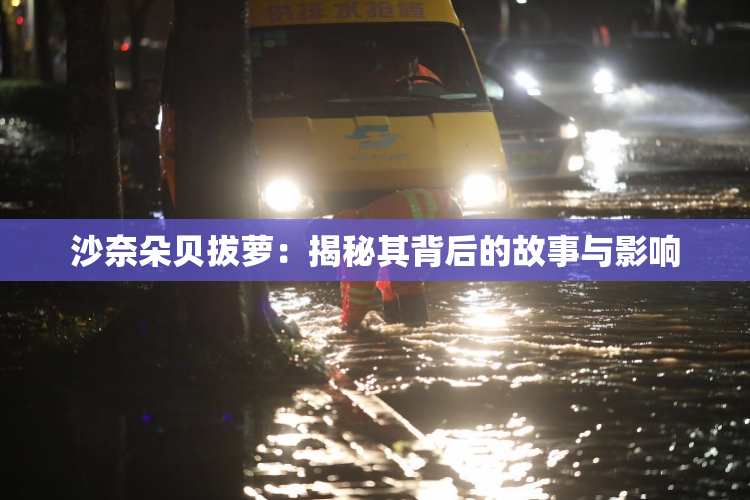 沙奈朵贝拔萝：揭秘其背后的故事与影响