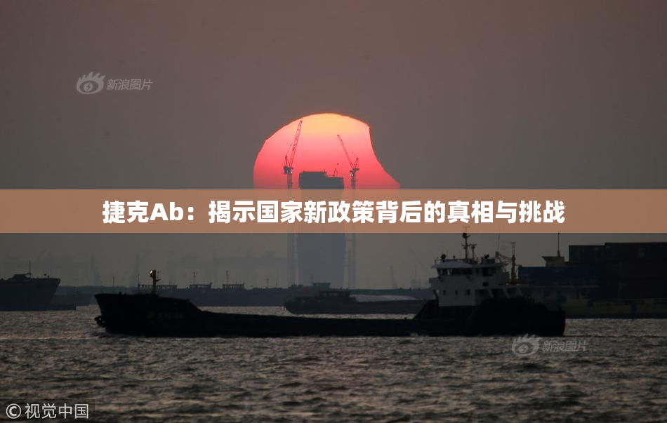 捷克Ab：揭示国家新政策背后的真相与挑战