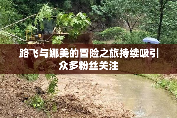 路飞与娜美的冒险之旅持续吸引众多粉丝关注