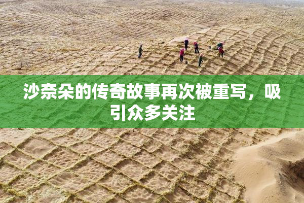 沙奈朵的传奇故事再次被重写，吸引众多关注