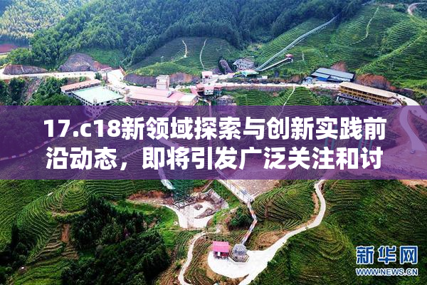 17.c18新领域探索与创新实践前沿动态，即将引发广泛关注和讨论