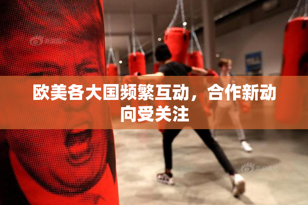 欧美各大国频繁互动，合作新动向受关注
