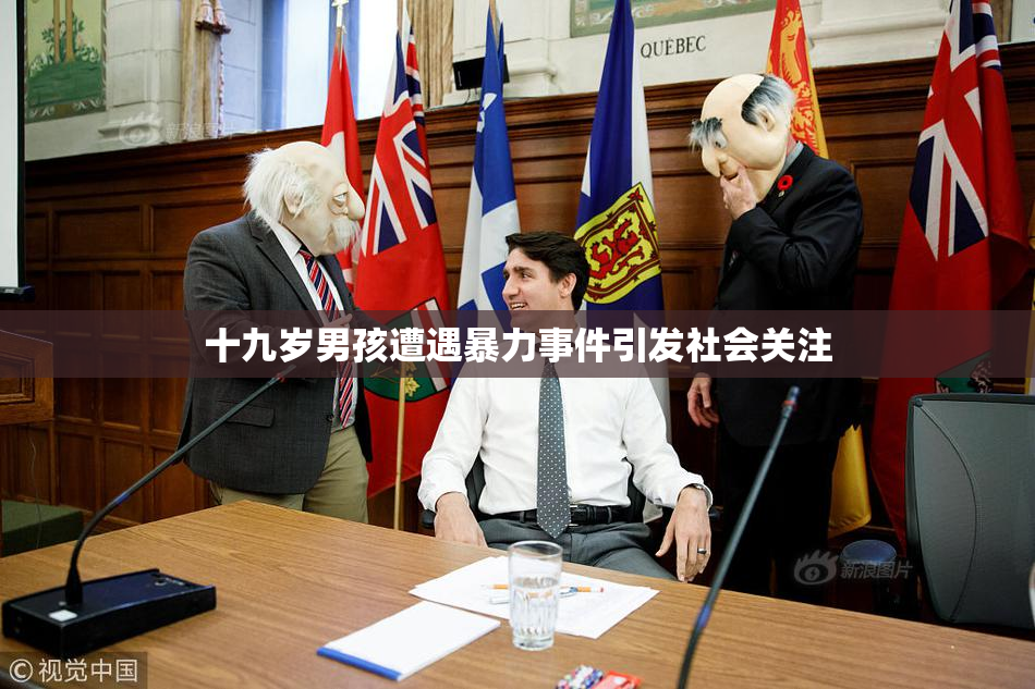 十九岁男孩遭遇暴力事件引发社会关注