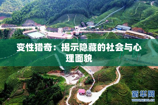 变性猎奇：揭示隐藏的社会与心理面貌
