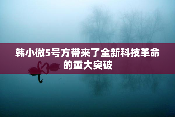 韩小微5号方带来了全新科技革命的重大突破