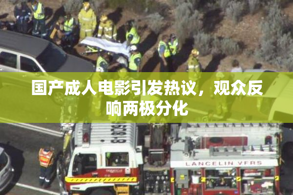 国产成人电影引发热议，观众反响两极分化
