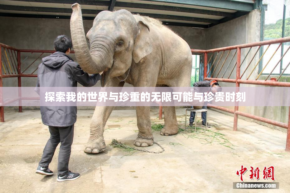 探索我的世界与珍重的无限可能与珍贵时刻