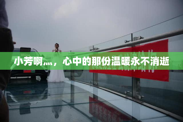 小芳啊灬，心中的那份温暖永不消逝