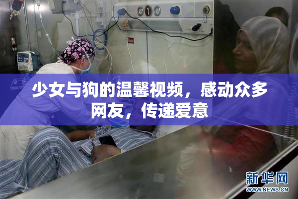 少女与狗的温馨视频，感动众多网友，传递爱意