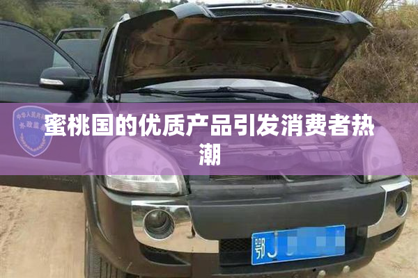 蜜桃国的优质产品引发消费者热潮