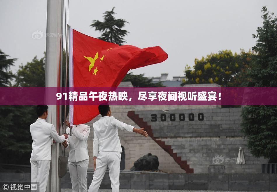 91精品午夜热映，尽享夜间视听盛宴！