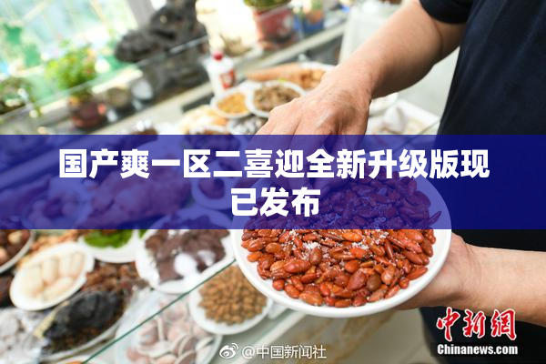 国产爽一区二喜迎全新升级版现已发布