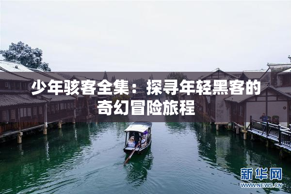 少年骇客全集：探寻年轻黑客的奇幻冒险旅程