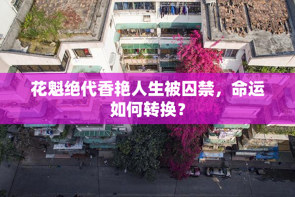 花魁绝代香艳人生被囚禁，命运如何转换？