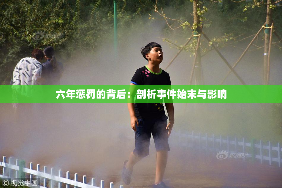 六年惩罚的背后：剖析事件始末与影响