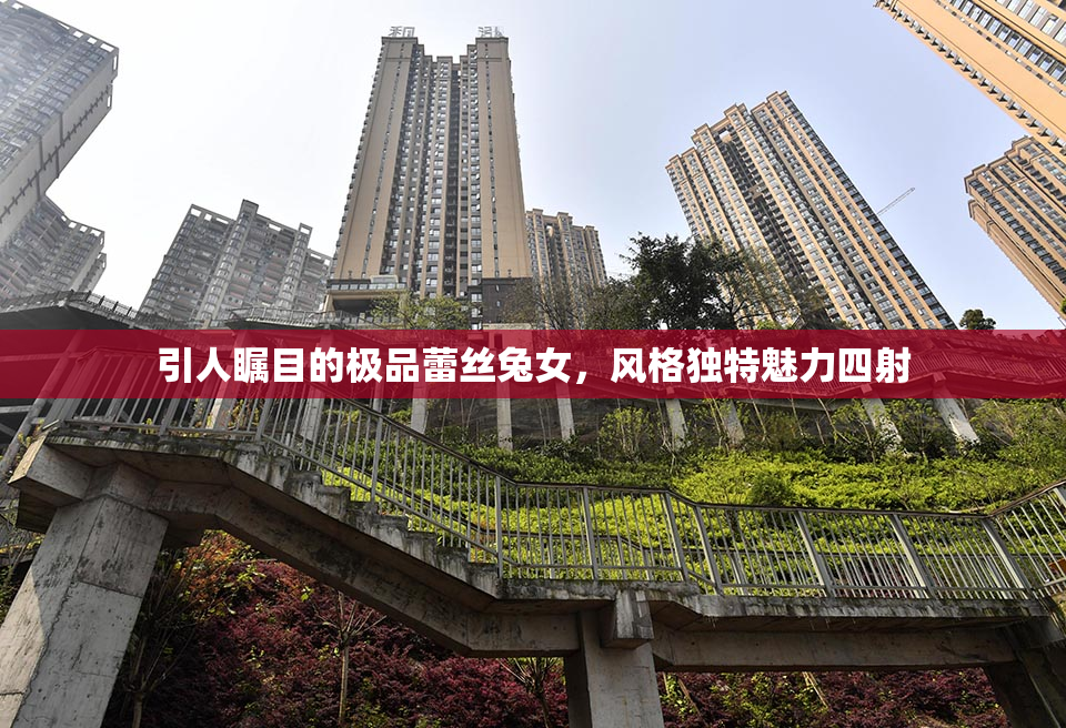 引人瞩目的极品蕾丝兔女，风格独特魅力四射
