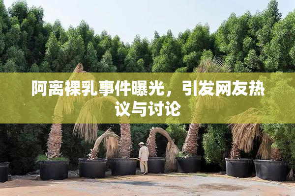 阿离裸乳事件曝光，引发网友热议与讨论