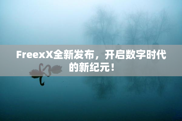 FreexX全新发布，开启数字时代的新纪元！