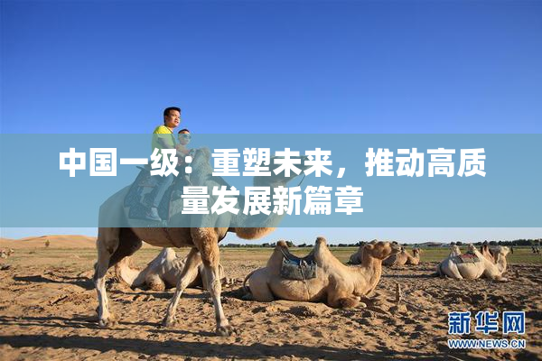 中国一级：重塑未来，推动高质量发展新篇章