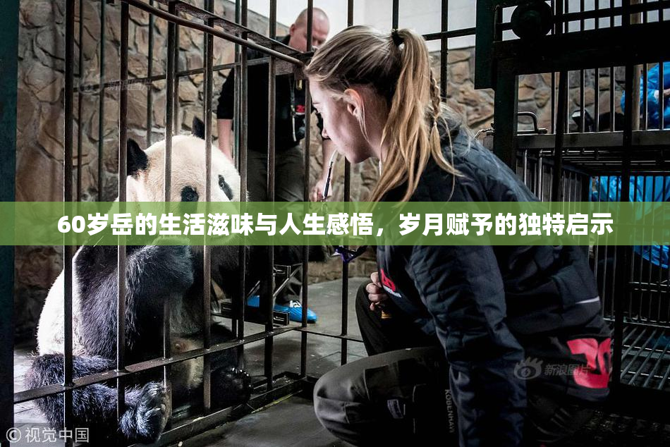60岁岳的生活滋味与人生感悟，岁月赋予的独特启示