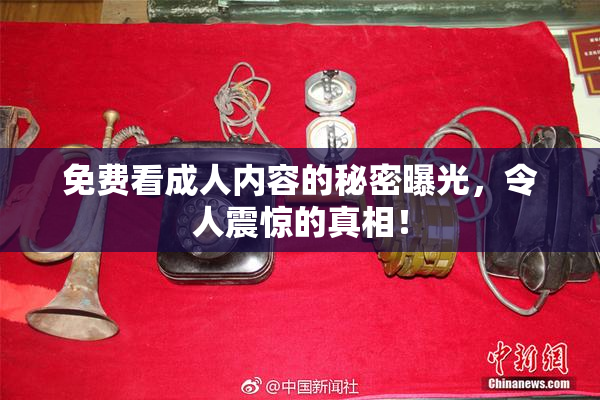 免费看成人内容的秘密曝光，令人震惊的真相！
