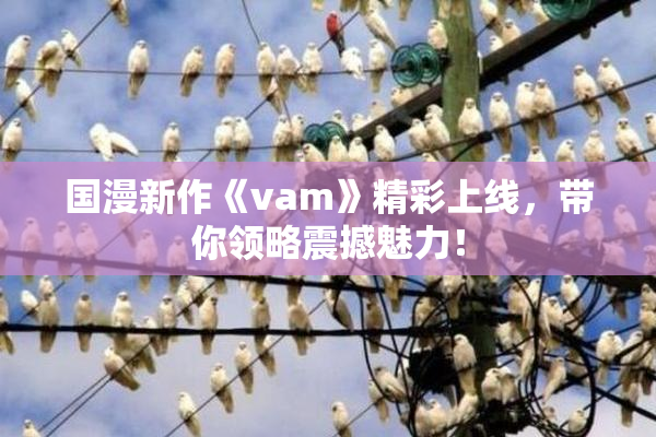 国漫新作《vam》精彩上线，带你领略震撼魅力！