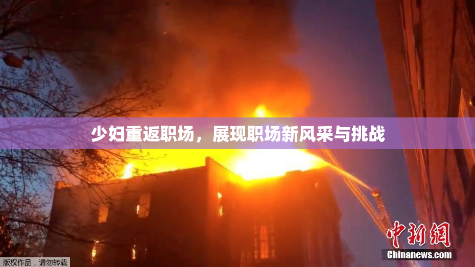 少妇重返职场，展现职场新风采与挑战
