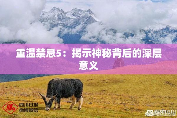重温禁忌5：揭示神秘背后的深层意义